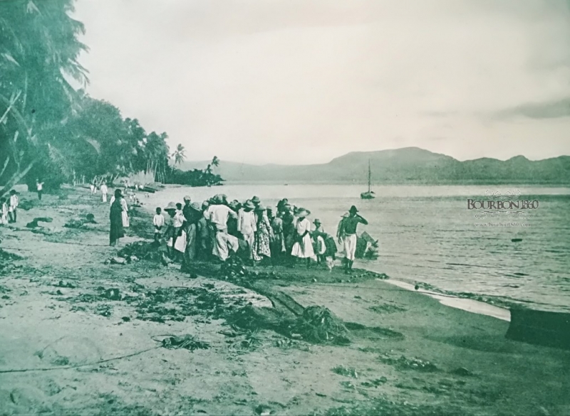 Photo du jour :Vue de la Martinique vers 1930
