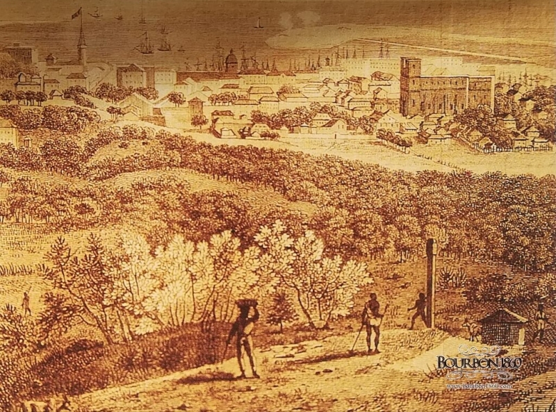 L'image du jour, Port-Louis prise de la Montagne du Pouce vers 1810