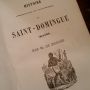 Histoire descriptive et pittoresque de l'ile saint-domingue(haiti)